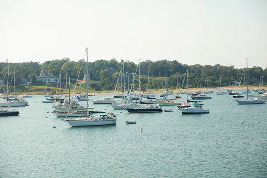 Ten Fun Facts - Martha's Vineyard Edition