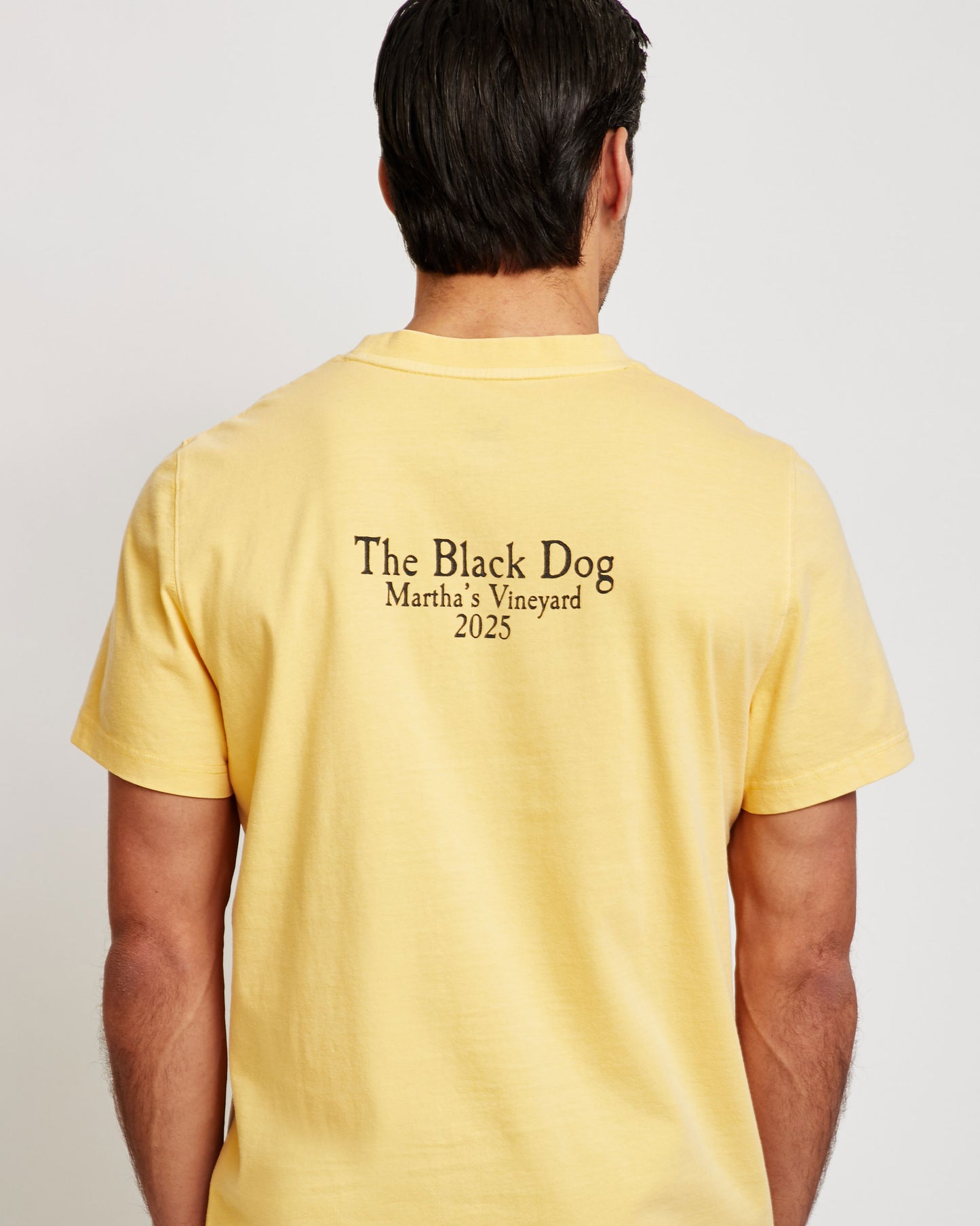 Adult Classic MV 2025 Tee