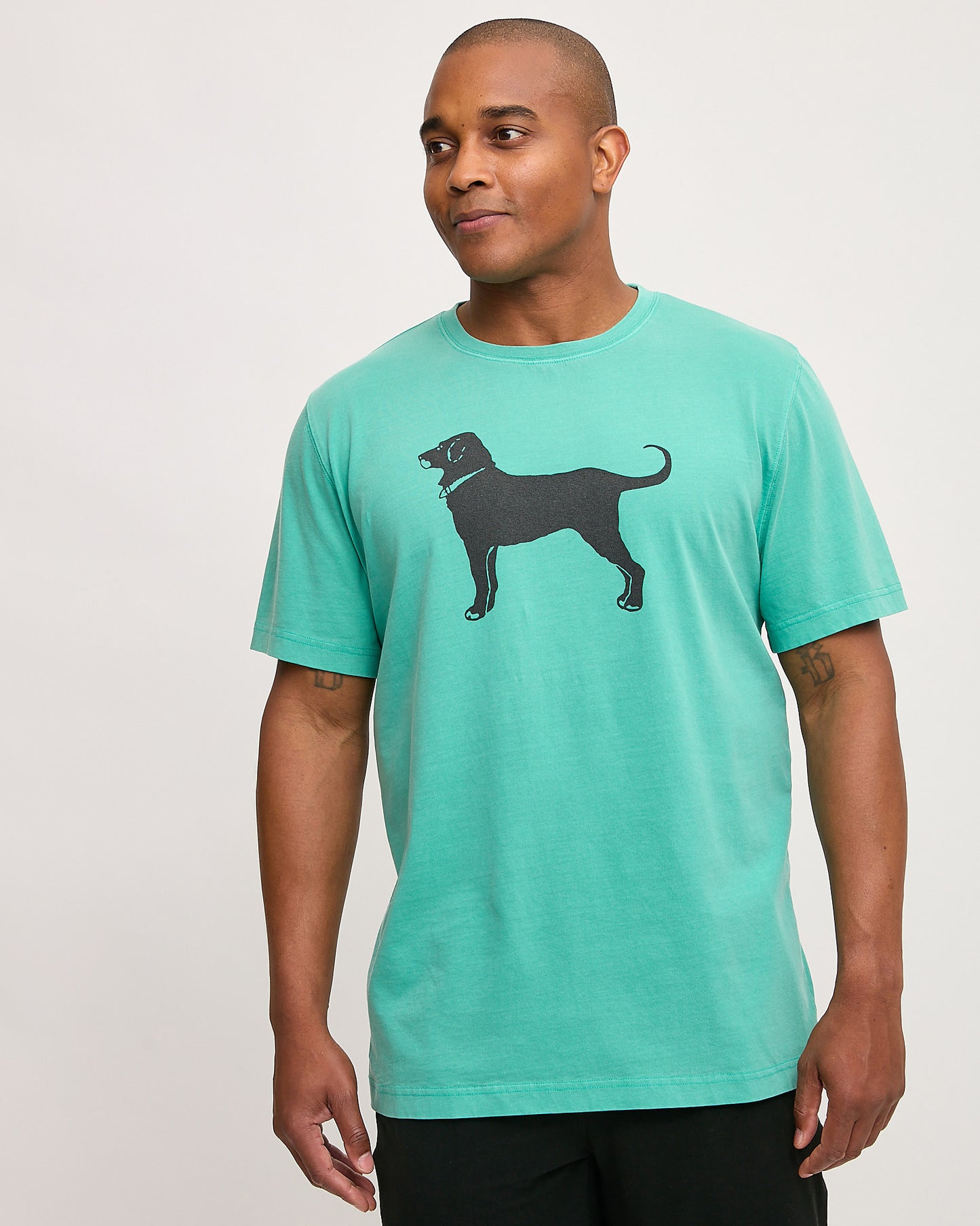 Adult Classic MV 2025 Tee