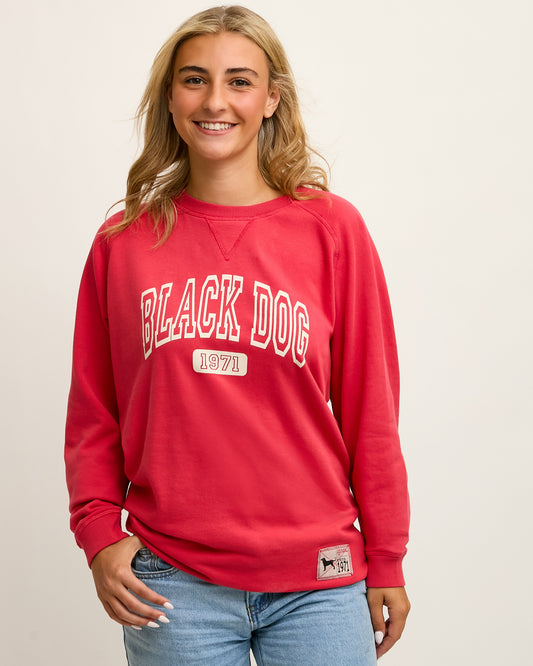 Adult Tidewashed Crewneck Sweatshirt