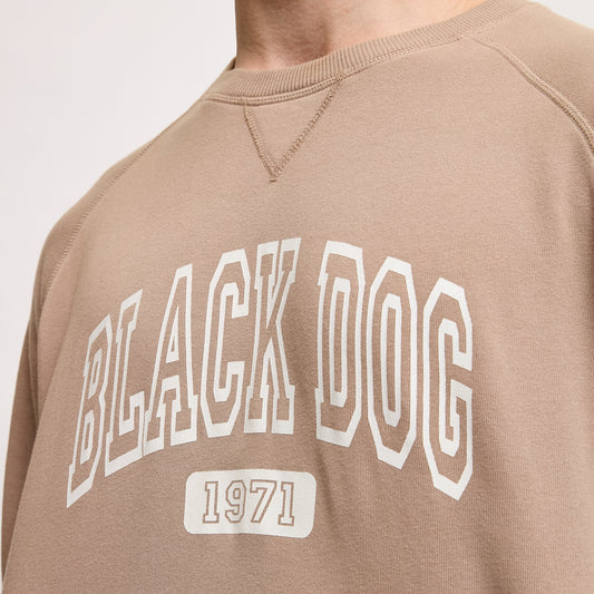 Adult Tidewashed Crewneck Sweatshirt (SALE)