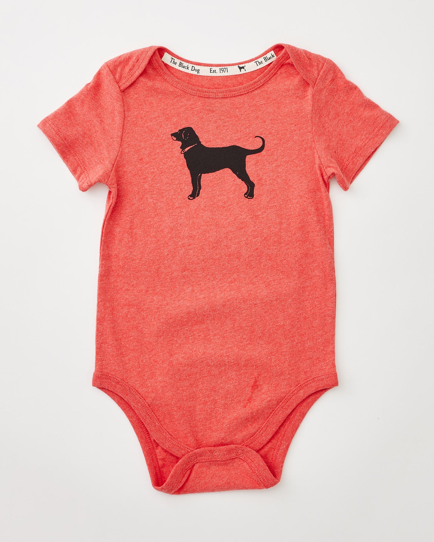 Lil Kids Classic Shortsleeve Onesie