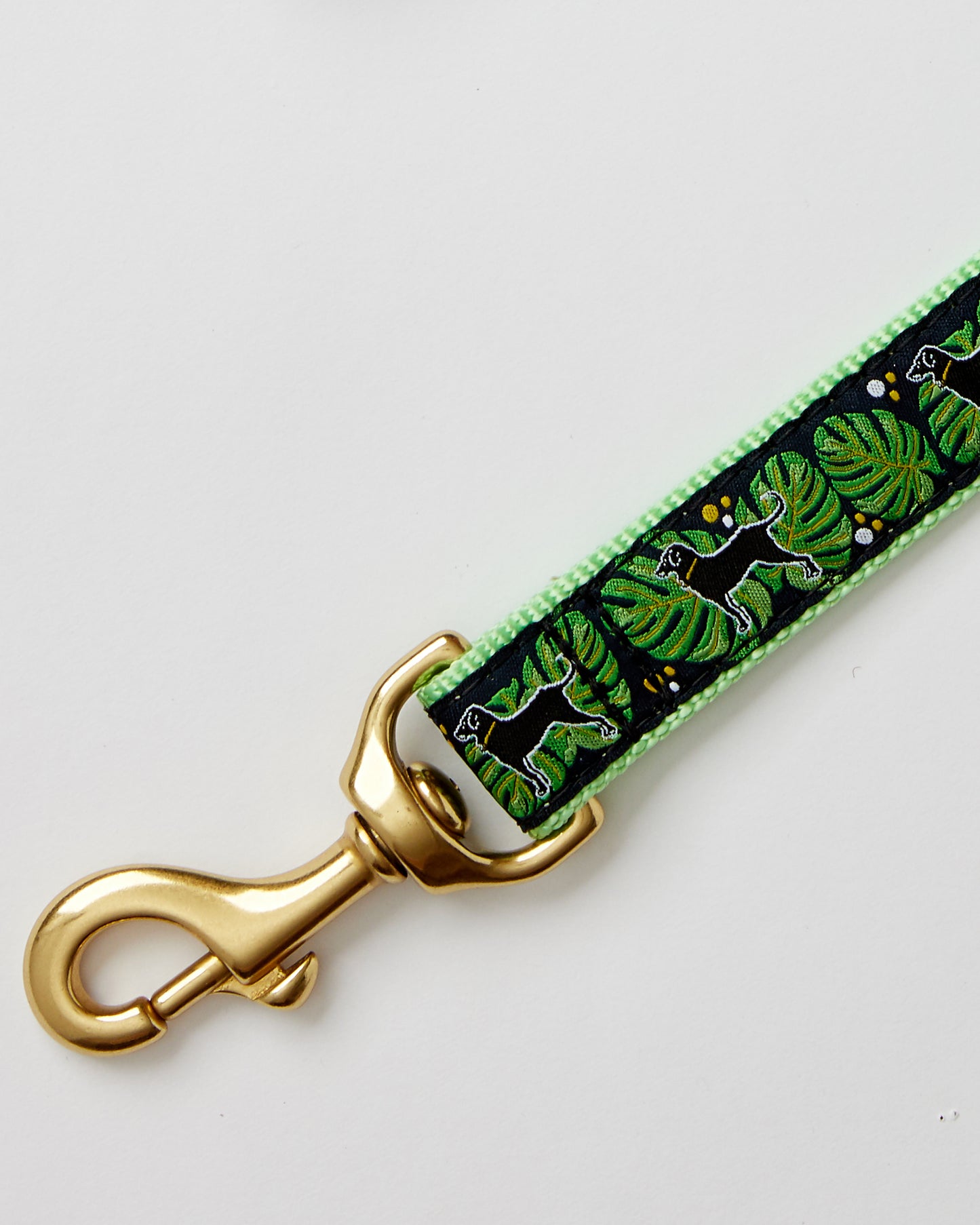 Black Dog Tropical Dog Leash