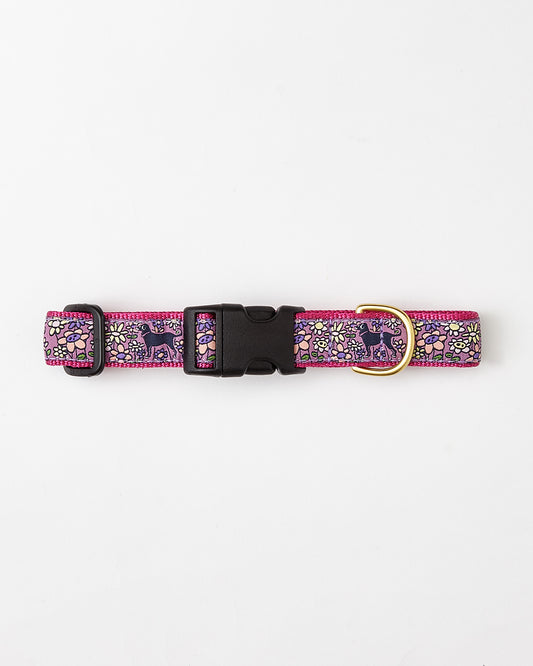 In The Daisies Dog Collar