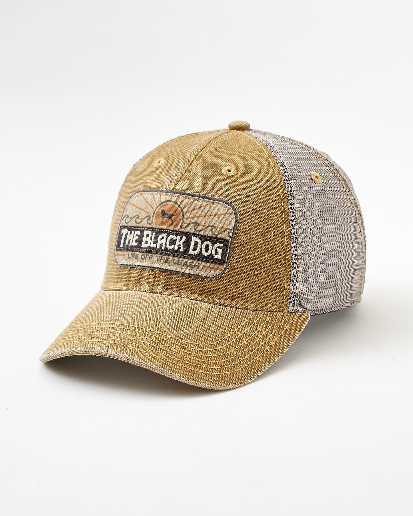 Adult Dashboard Adjustable Hat
