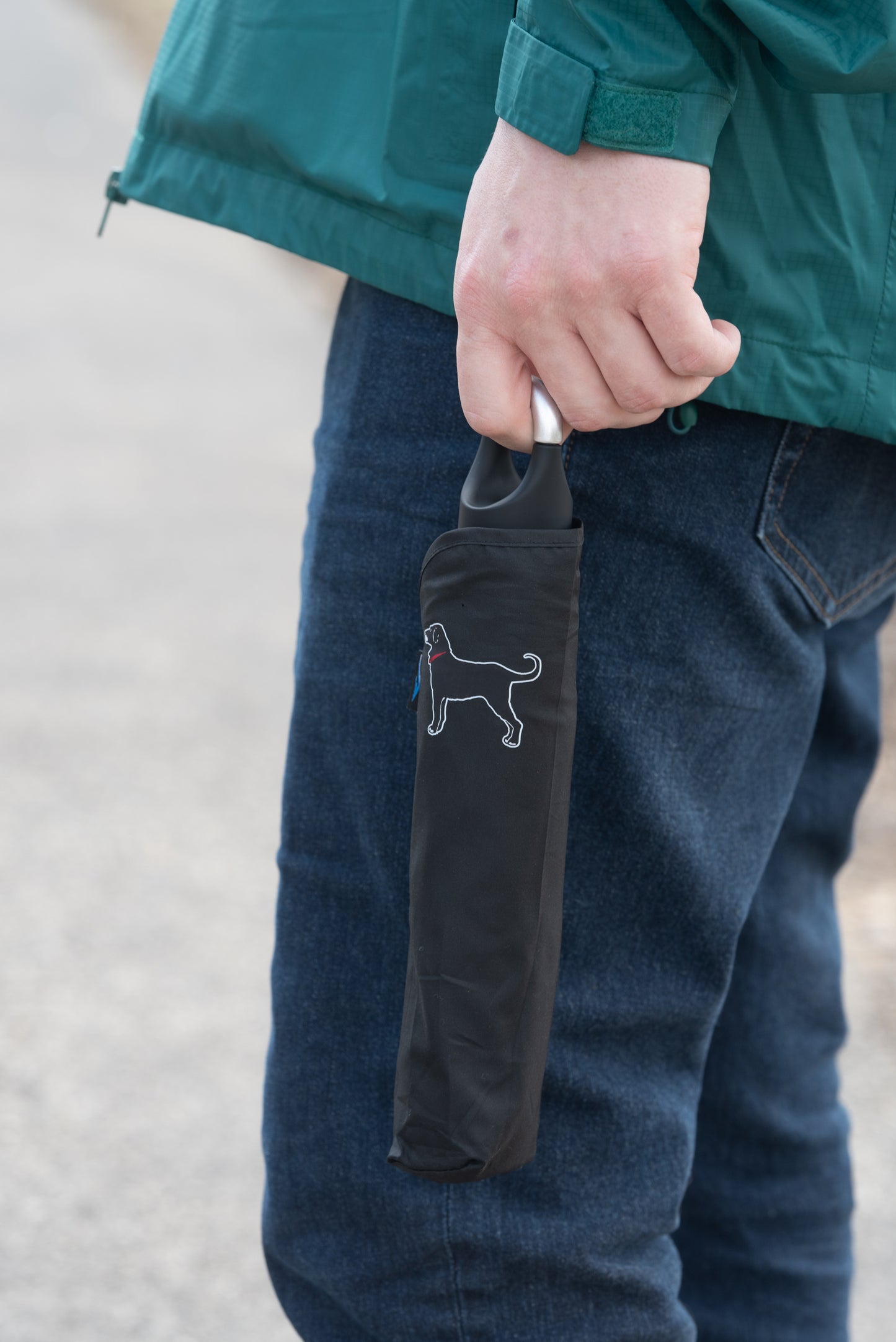 Black Dog Packable Umbrella