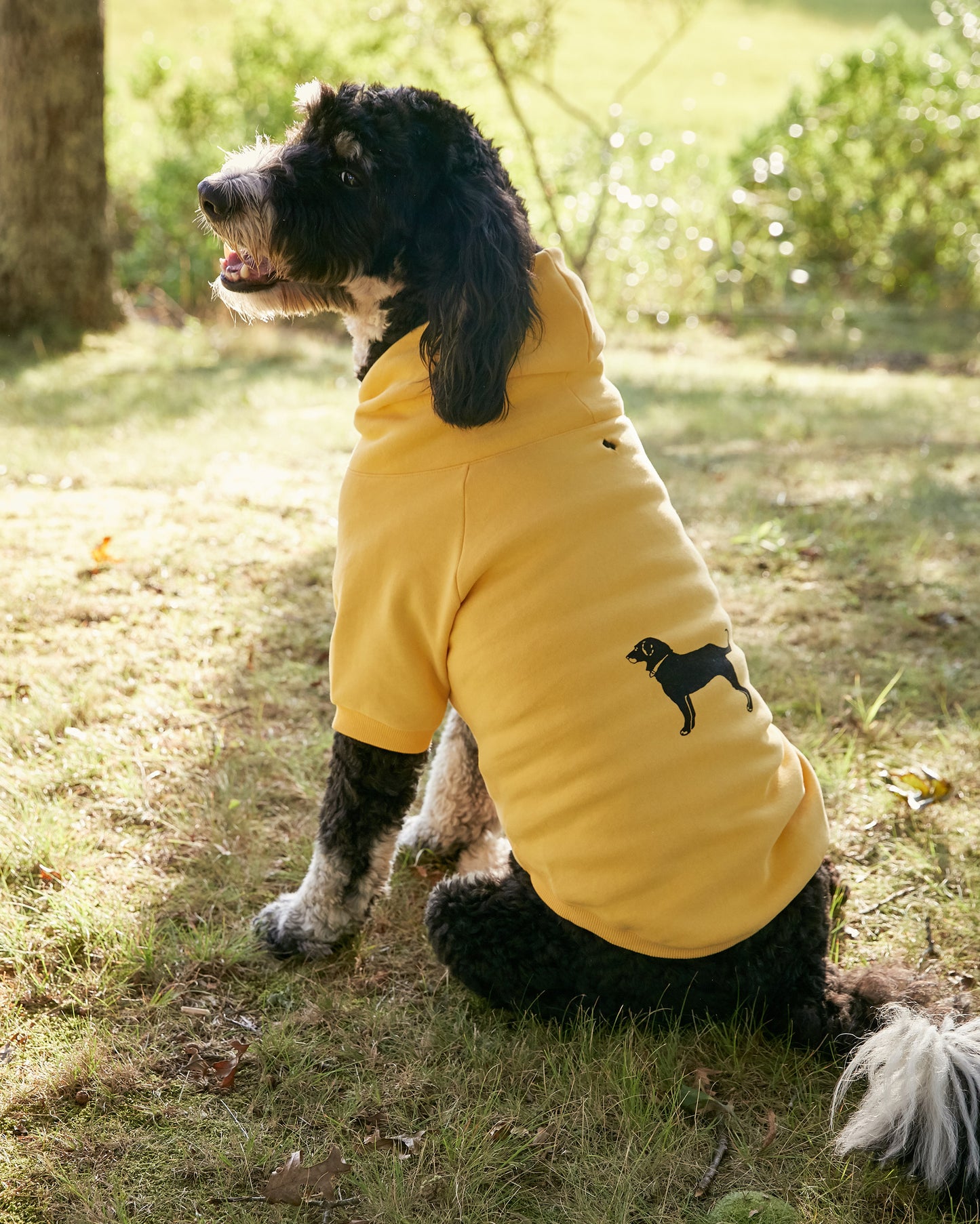 Classic Dog Hoodie Sweatshirt