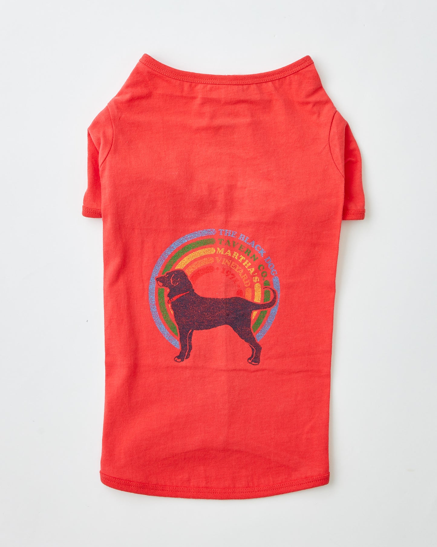 Rainbow Dog Tee for Dogs