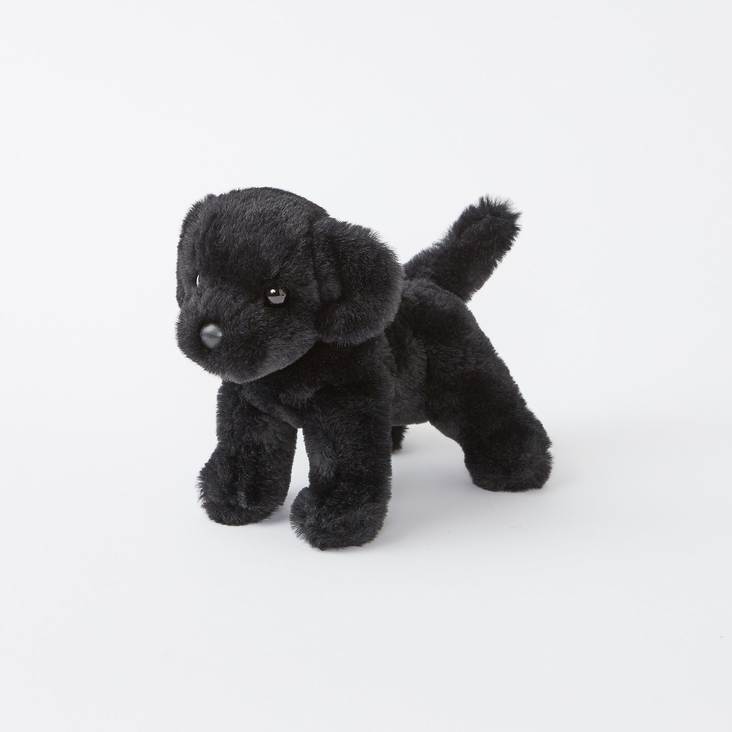 Hattie the Mini Black Lab