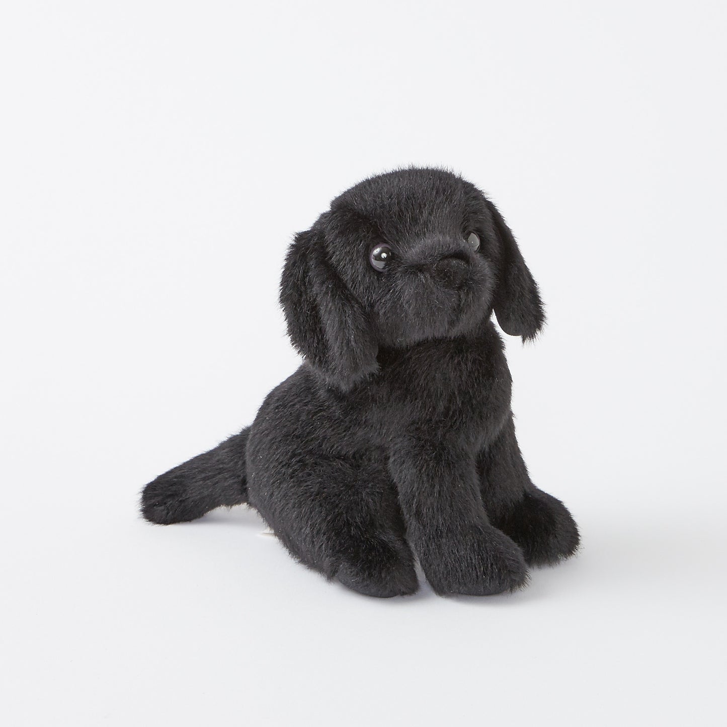 Mini Black Lab