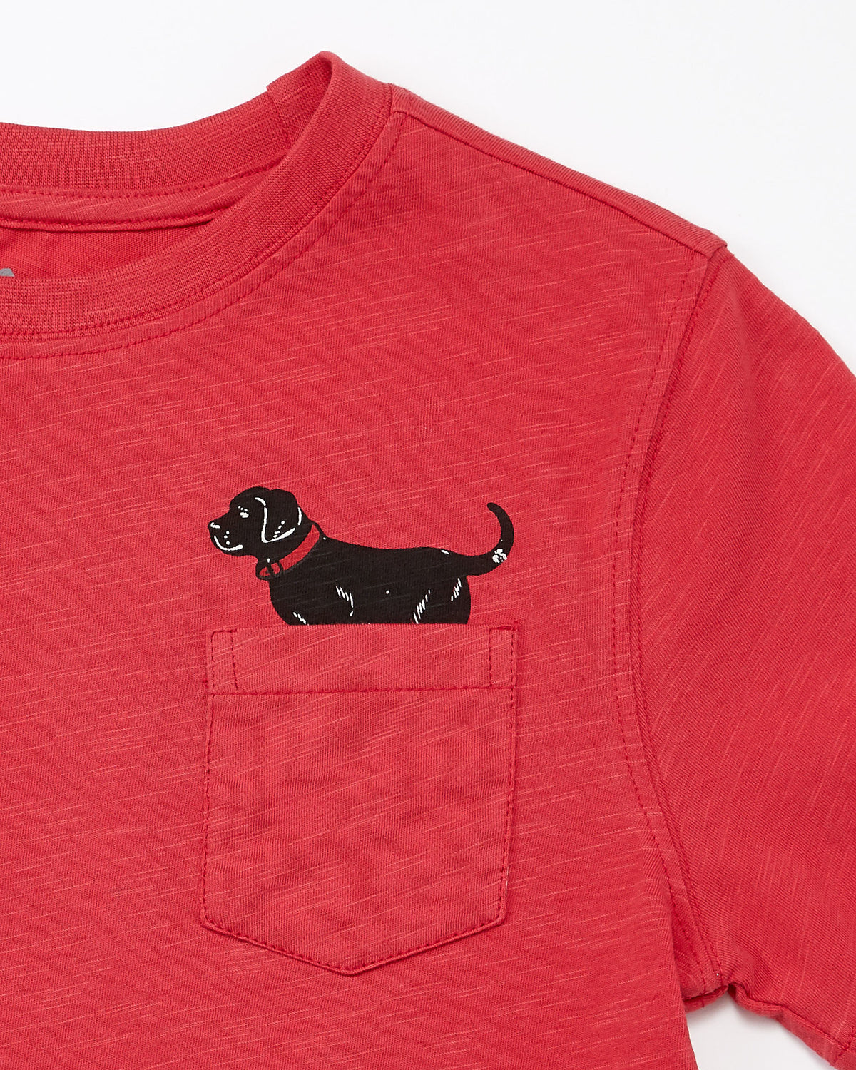 Kids Puppy In My Pocket Slub Tee