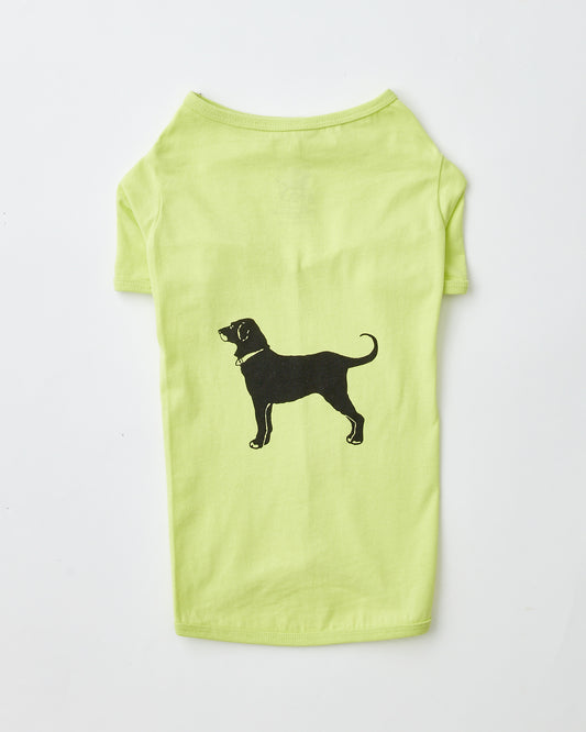 Classic Tee for Dogs