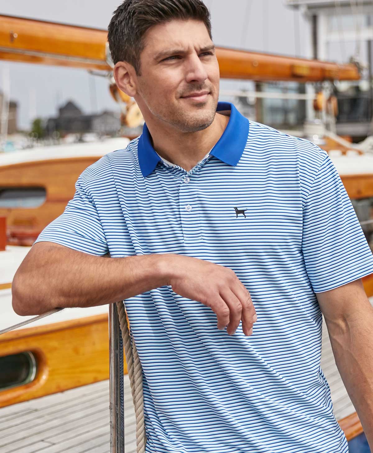 Blue striped polo shirt online