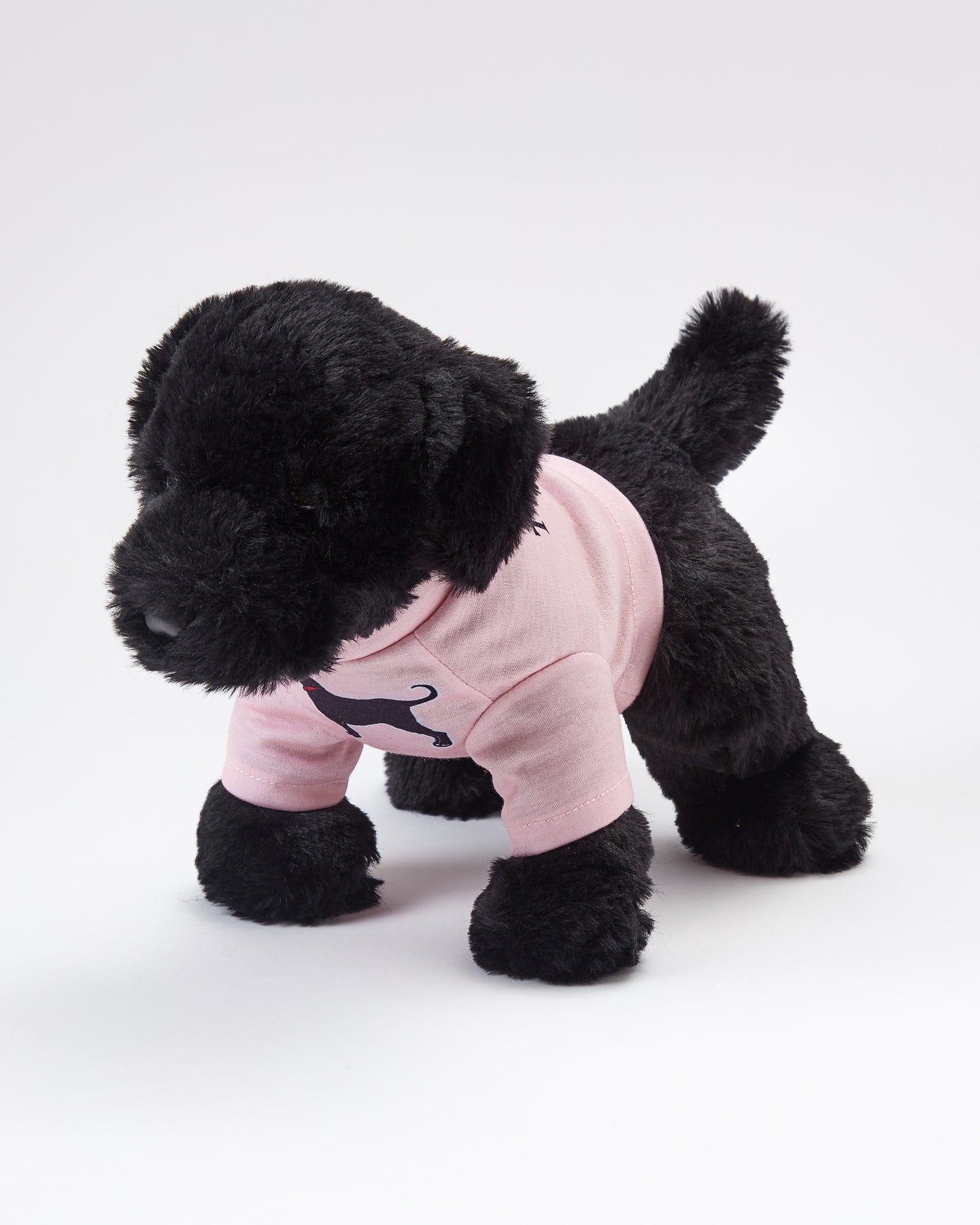 Charlie The Black Lab