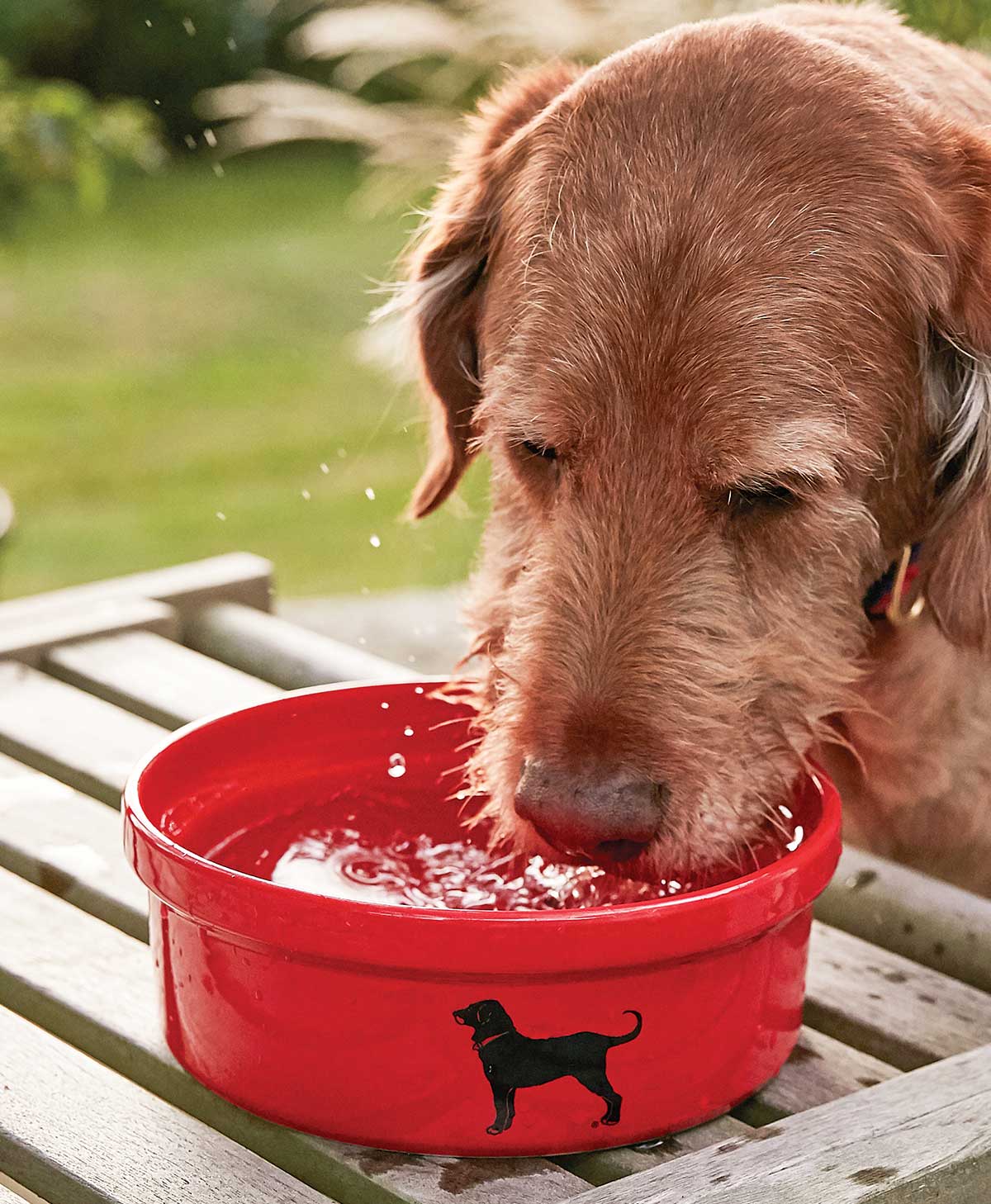 Black Dog Ceramic Dog Bowl