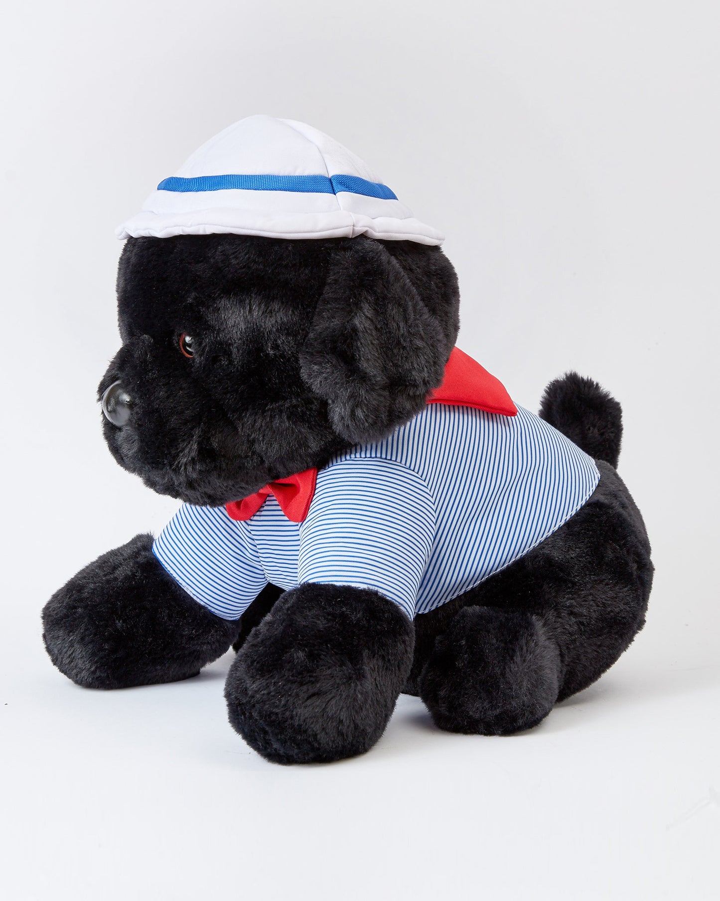 Sailor The Black Lab