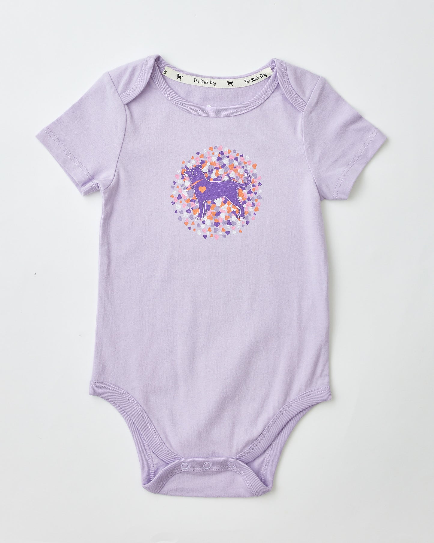 Lil Kids Heart Song Shortsleeve Onesie