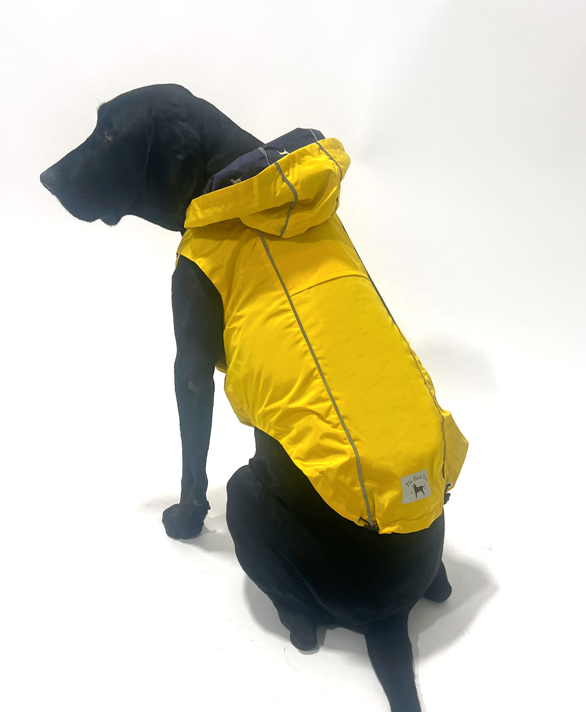 dog rain gear Reversible Dog Raincoat