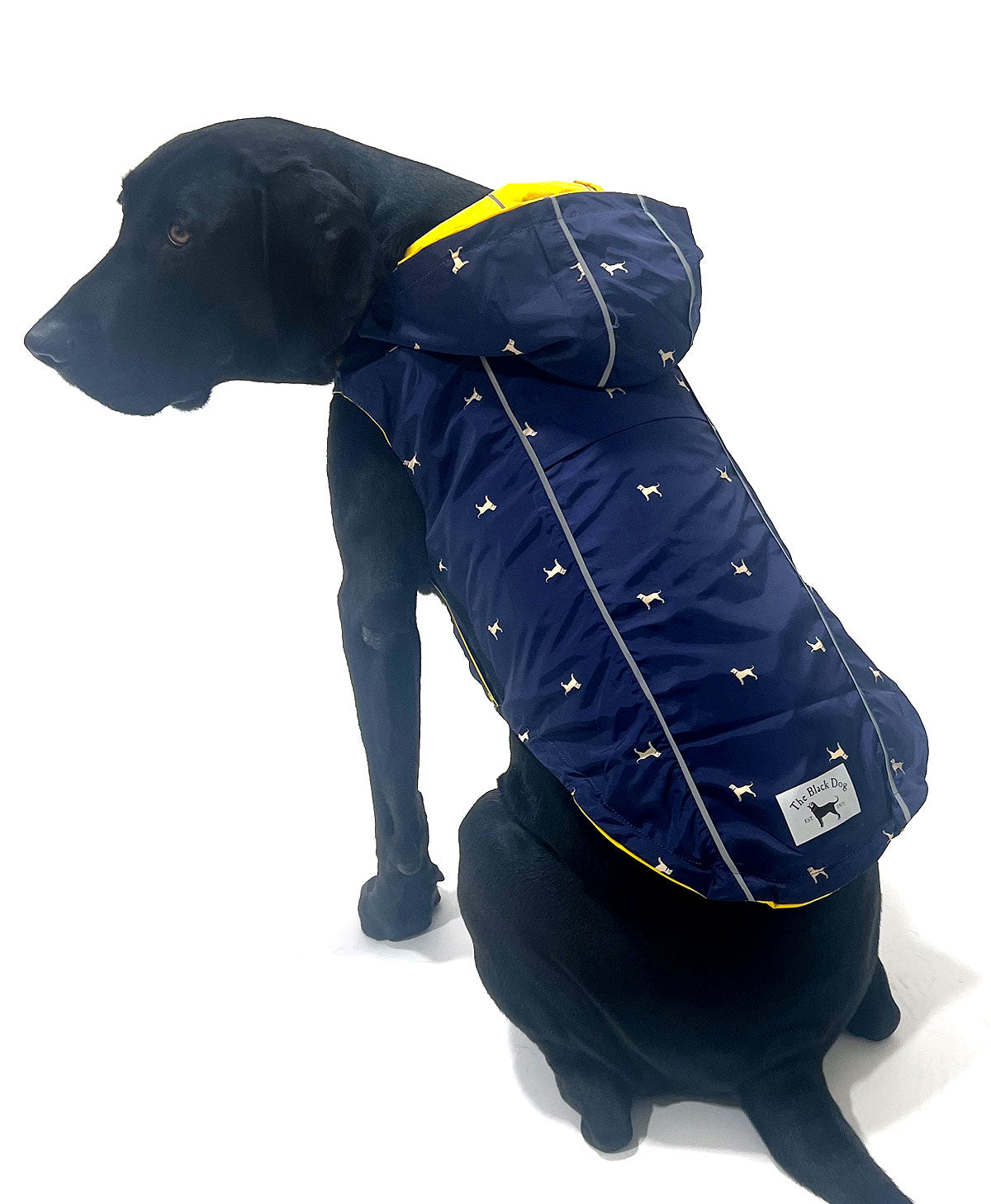 Reversible Dog Raincoat