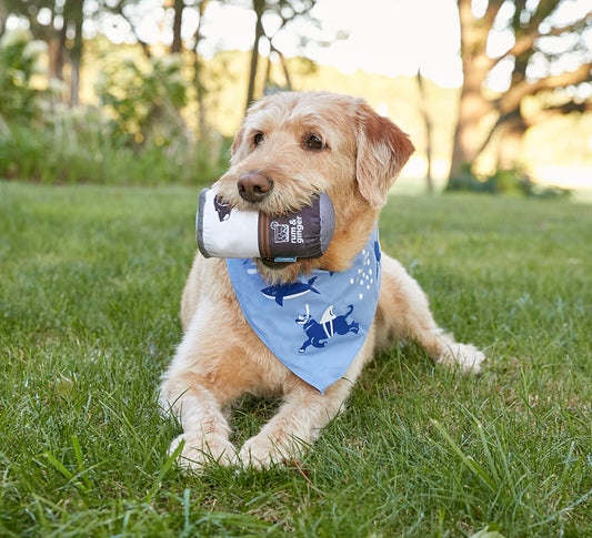 Black Dog Shark Bandana