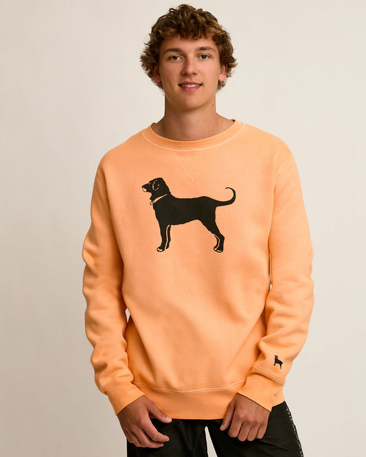 Adult Heavyweight Crewneck Sweatshirt