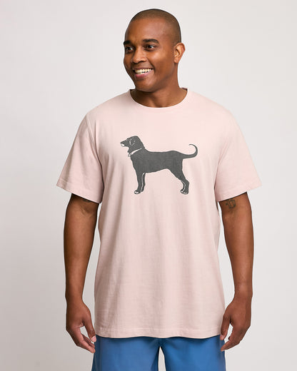 Adult Classic MV 2025 Tee