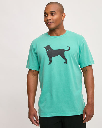 Adult Classic MV 2025 Shortsleeve Tee