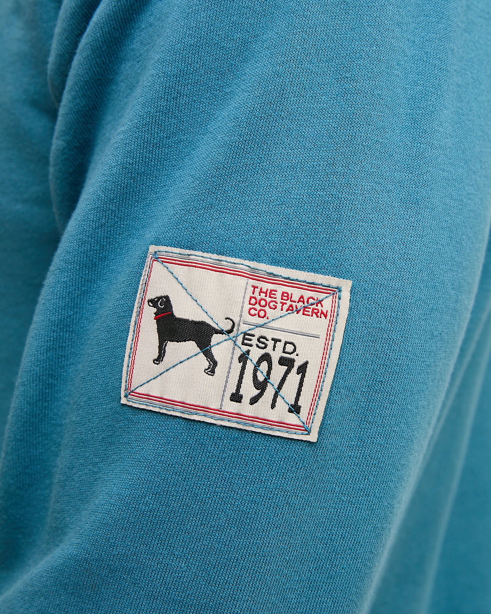 Adult Tidewashed Snap Hoodie – The Black Dog