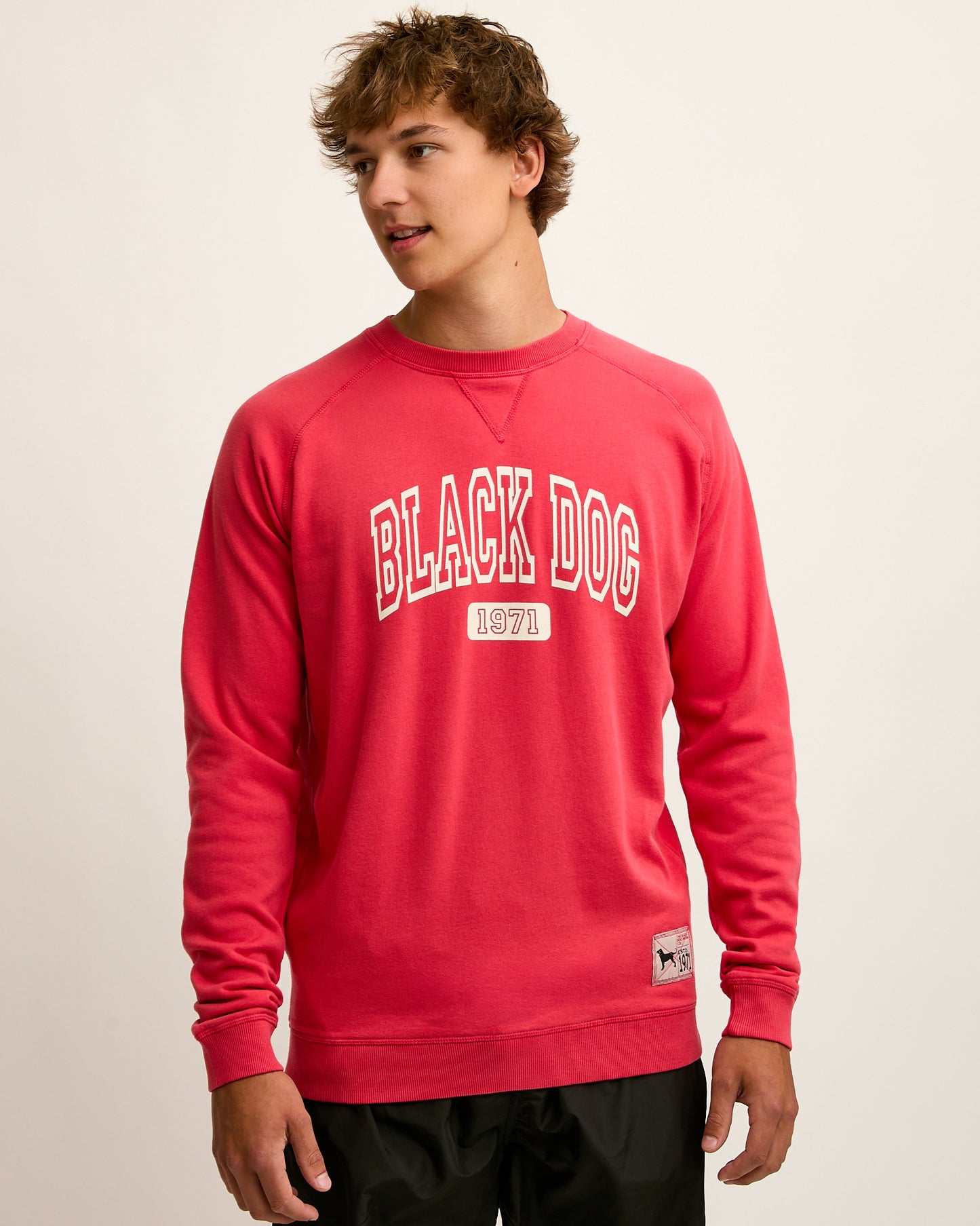 Adult Tidewashed Crewneck Sweatshirt