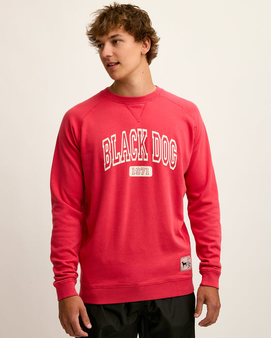 Adult Tidewashed Crewneck Sweatshirt