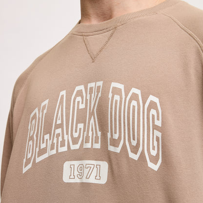 Adult Tidewashed Crewneck Sweatshirt