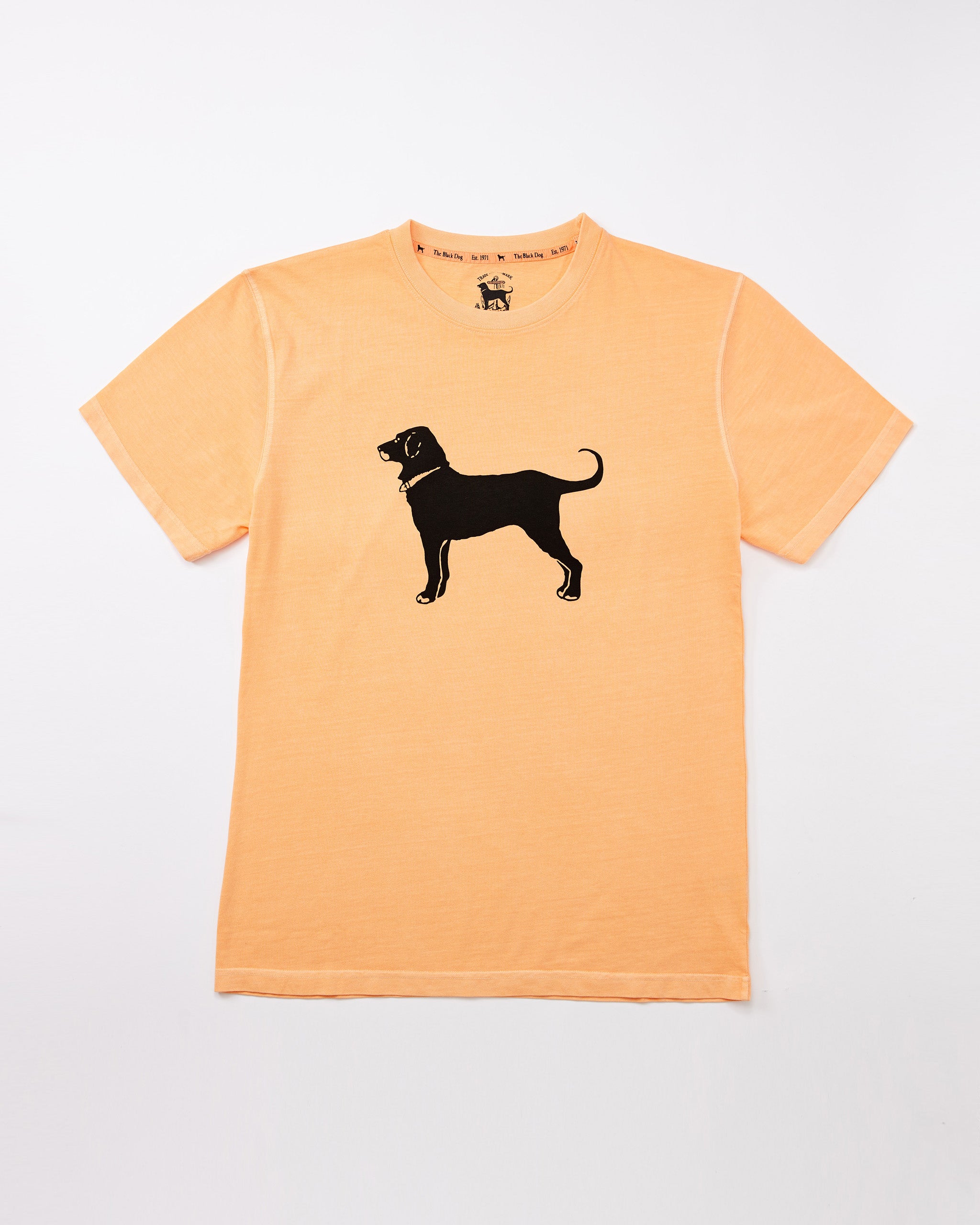 Adult Classic MV 2026 Tee – The Black Dog