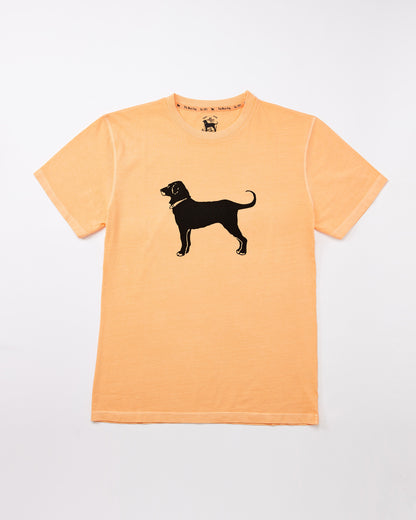 Adult Classic MV 2026 Tee