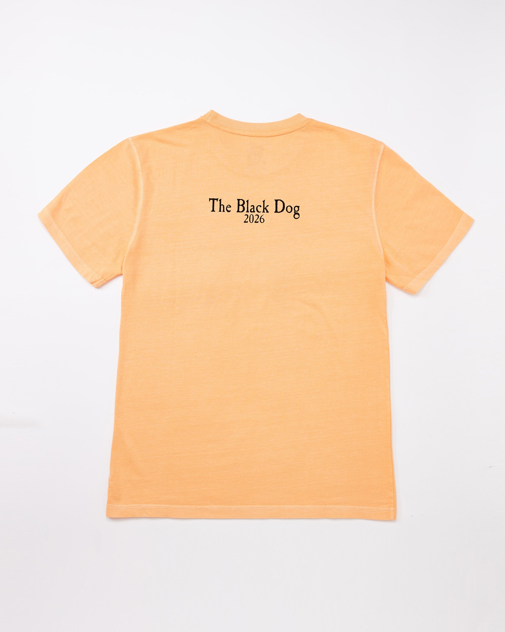 Adult Classic MV 2026 Tee – The Black Dog