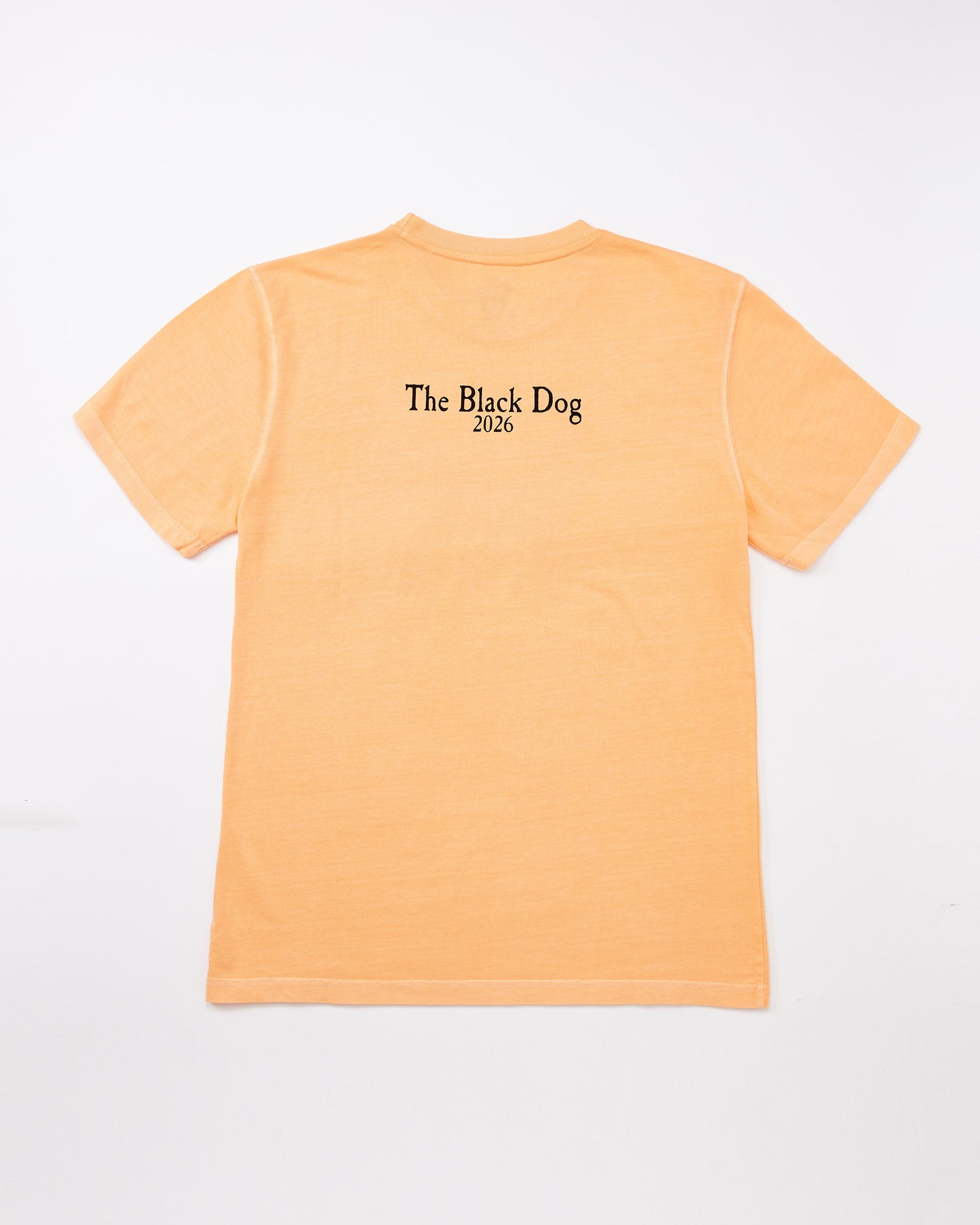 Adult Classic MV 2026 Tee