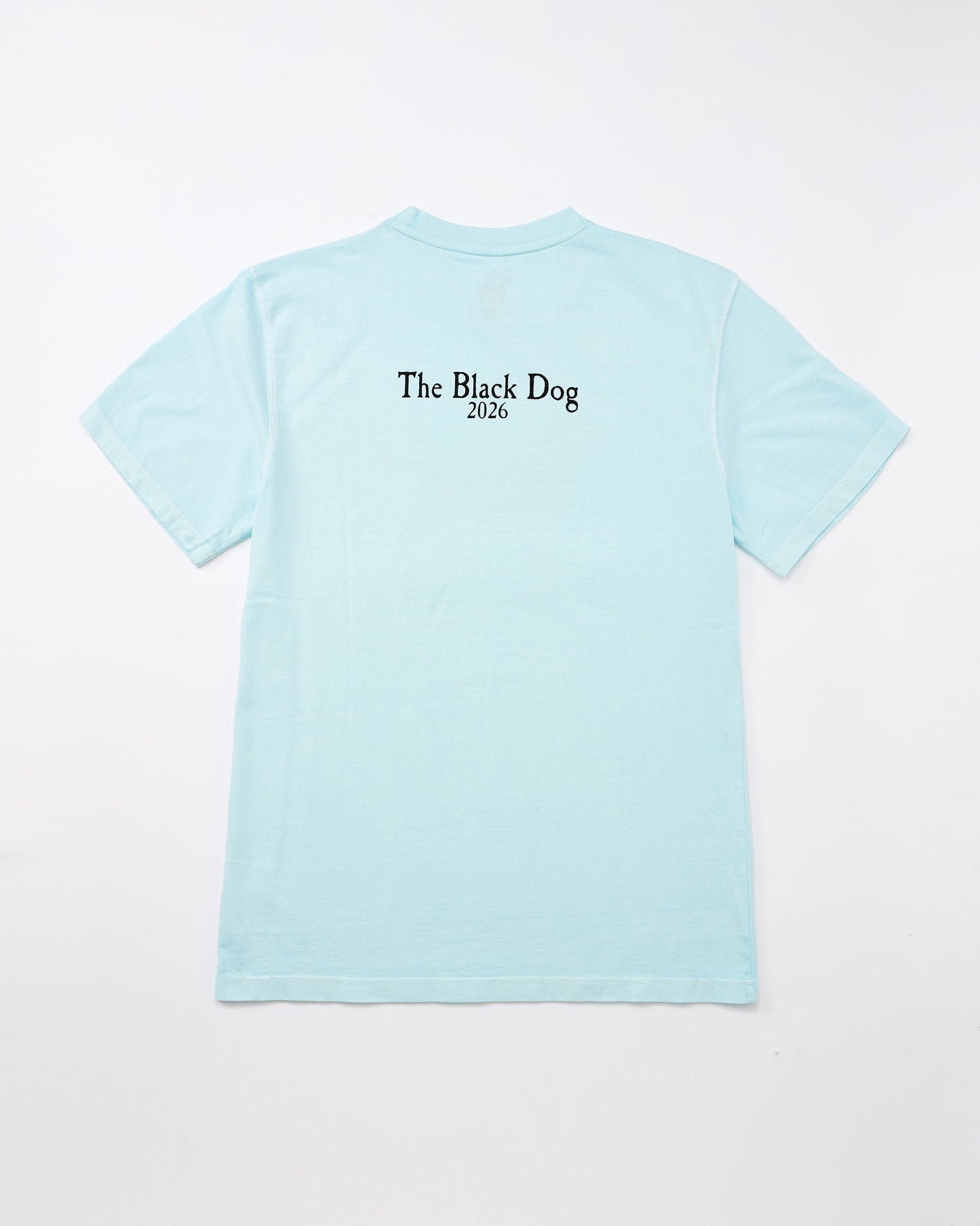 Adult Classic MV 2026 Tee