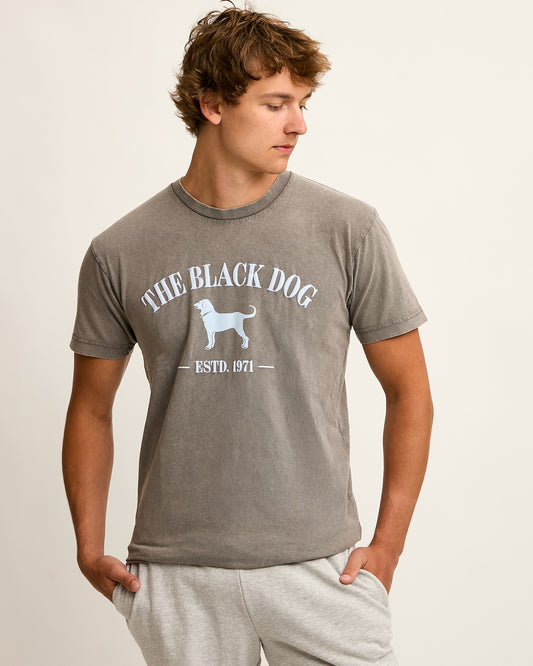 Saltwater Washed Tee