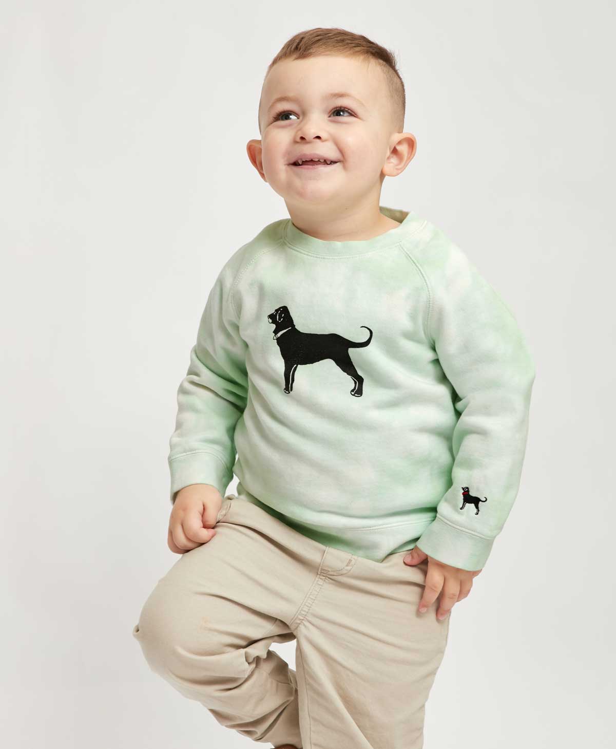 Lil Kids Classic Crew Sweatshirt The Black Dog