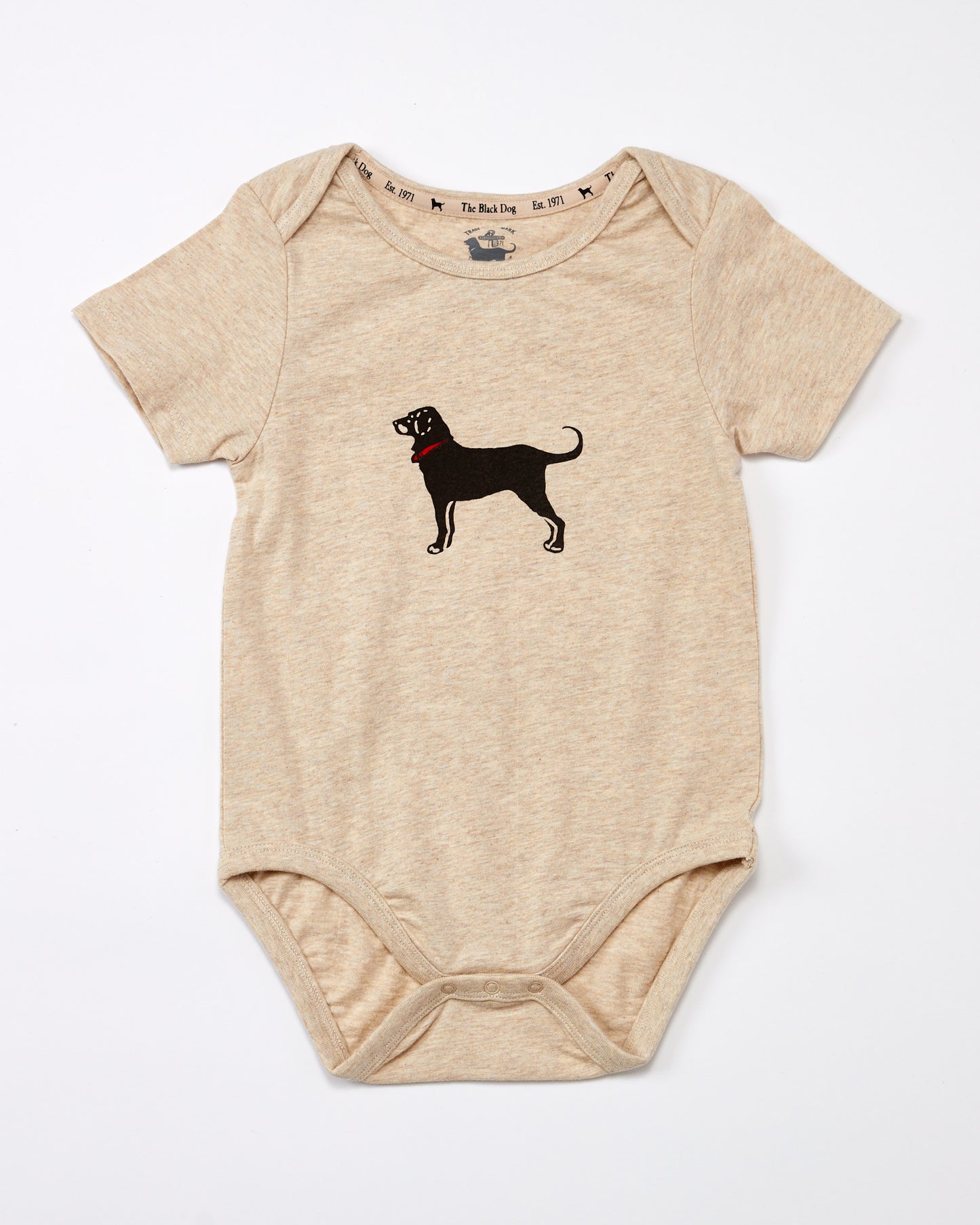 Lil Kids Classic Shortsleeve Onesie