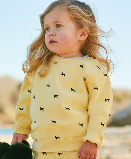 Lil Kids Tossed Dog Crewneck Sweatshirt