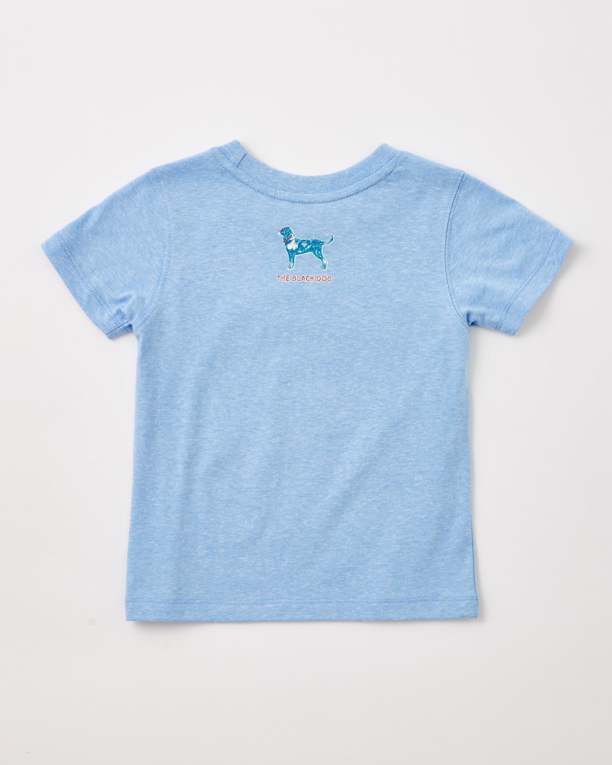 Lil Kids Pool Party Tri Blend Shortsleeve Tee