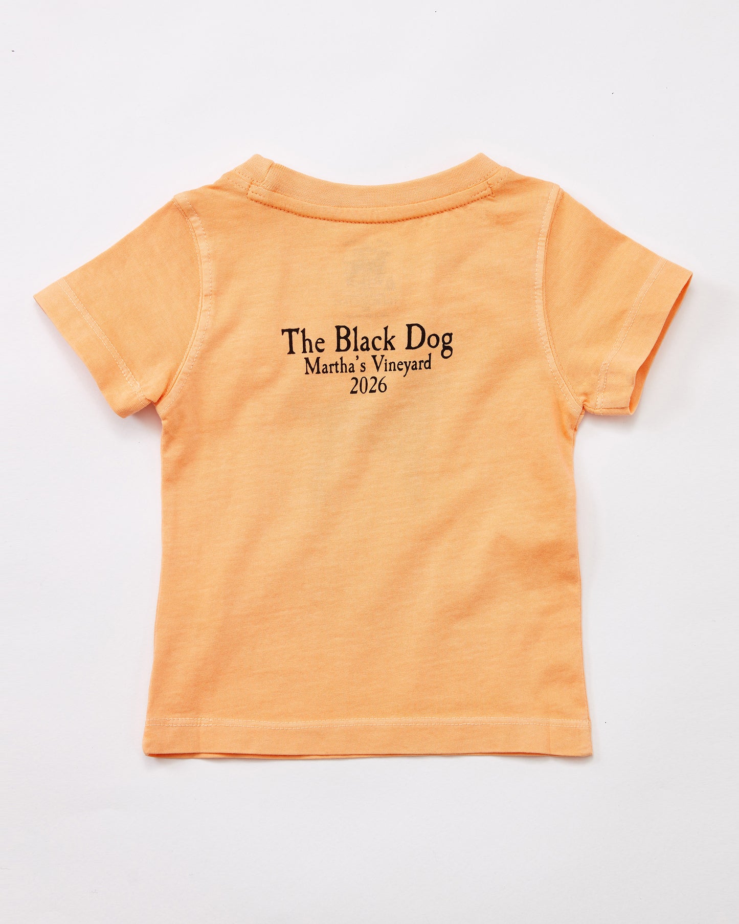 Lil Kids Classic MV 2026 Tee