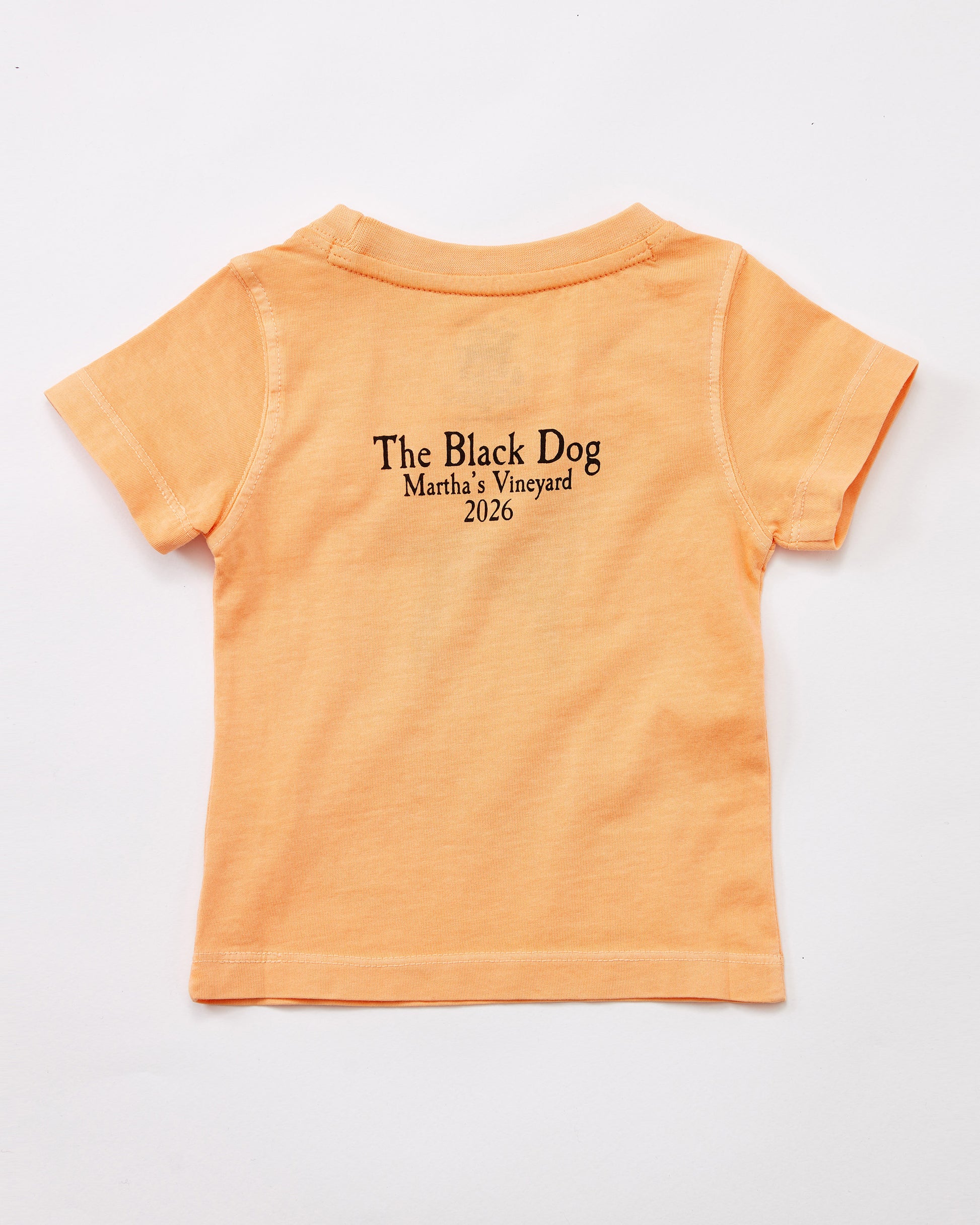 Lil Kids Classic MV 2026 Tee