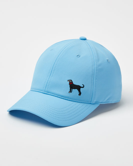 Touch Grass Trucker/Captains Hat – Black Dog Overland