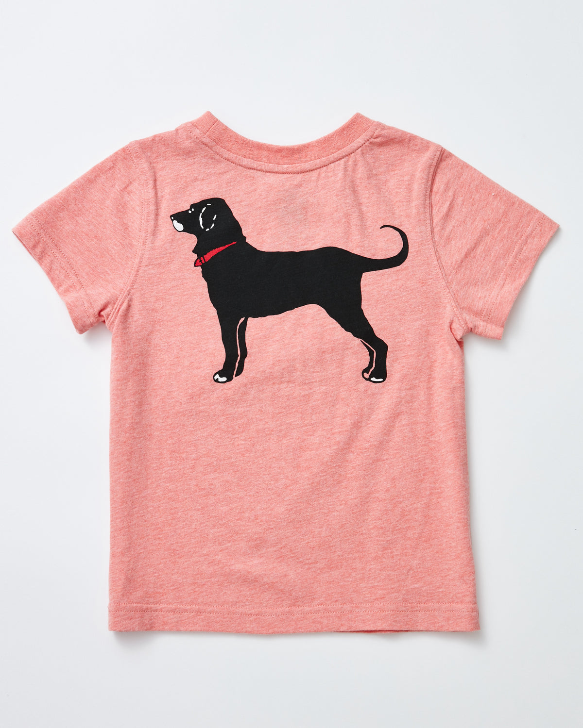 Lil Kids Martha's Vineyard Homeport Shortsleeve Tee