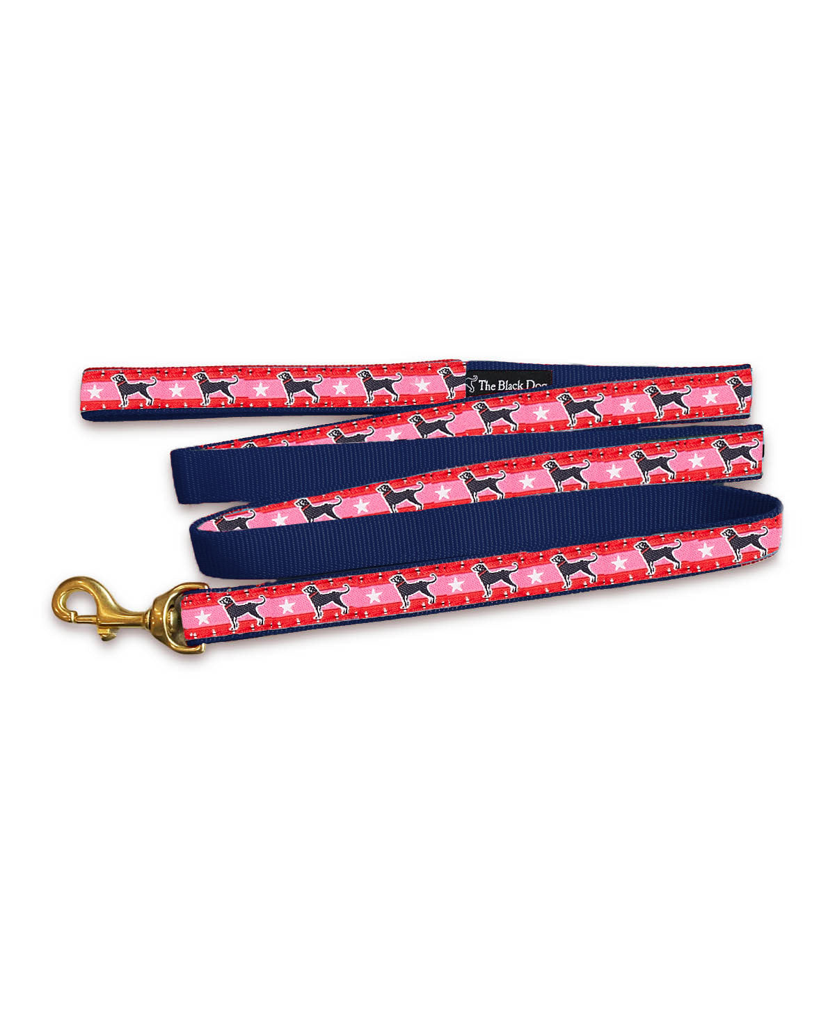 Bright Star Dog Leash