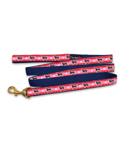 Bright Star Dog Leash