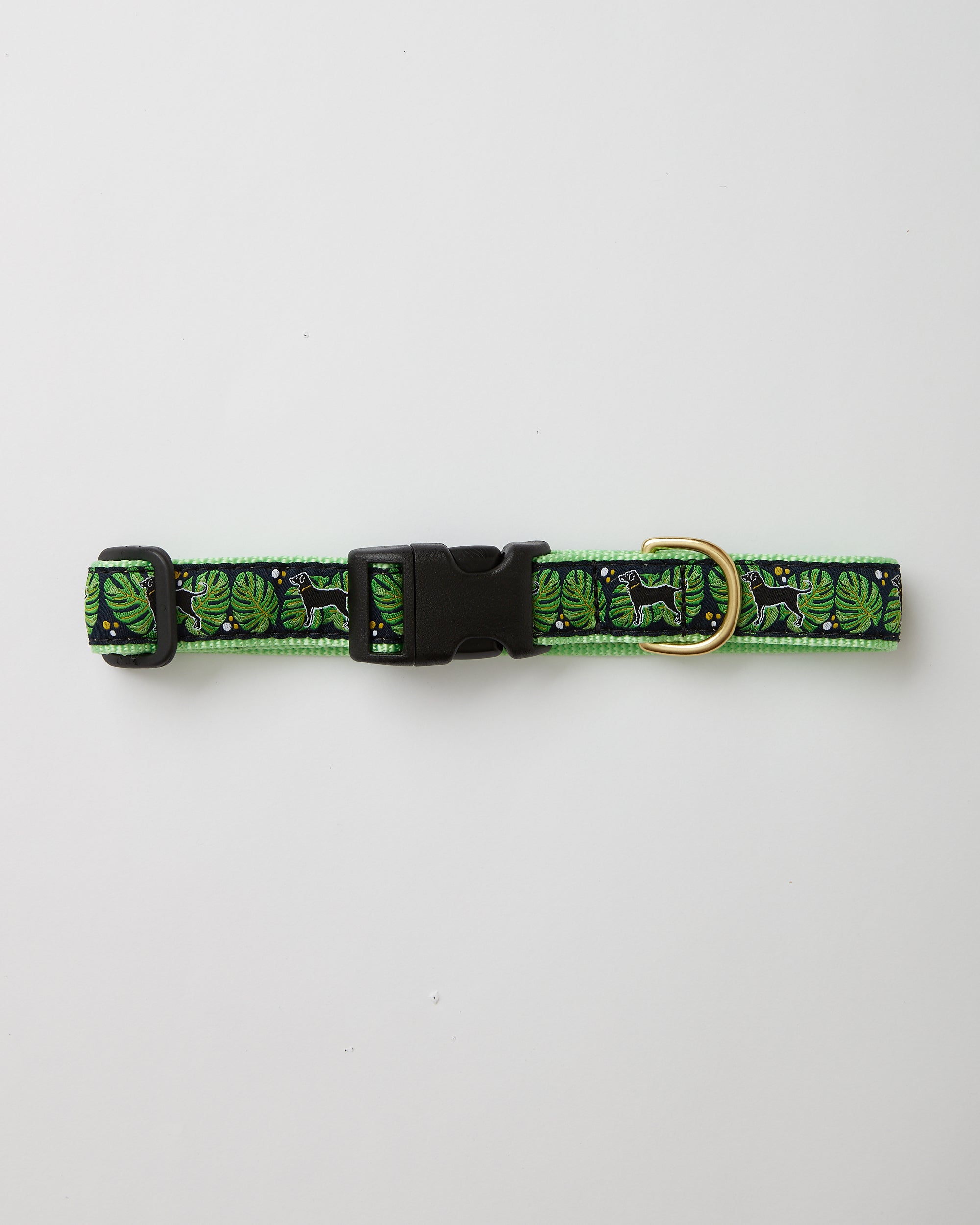 Dog collar outlet for black dog