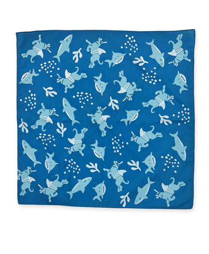 Black Dog Shark Bandana
