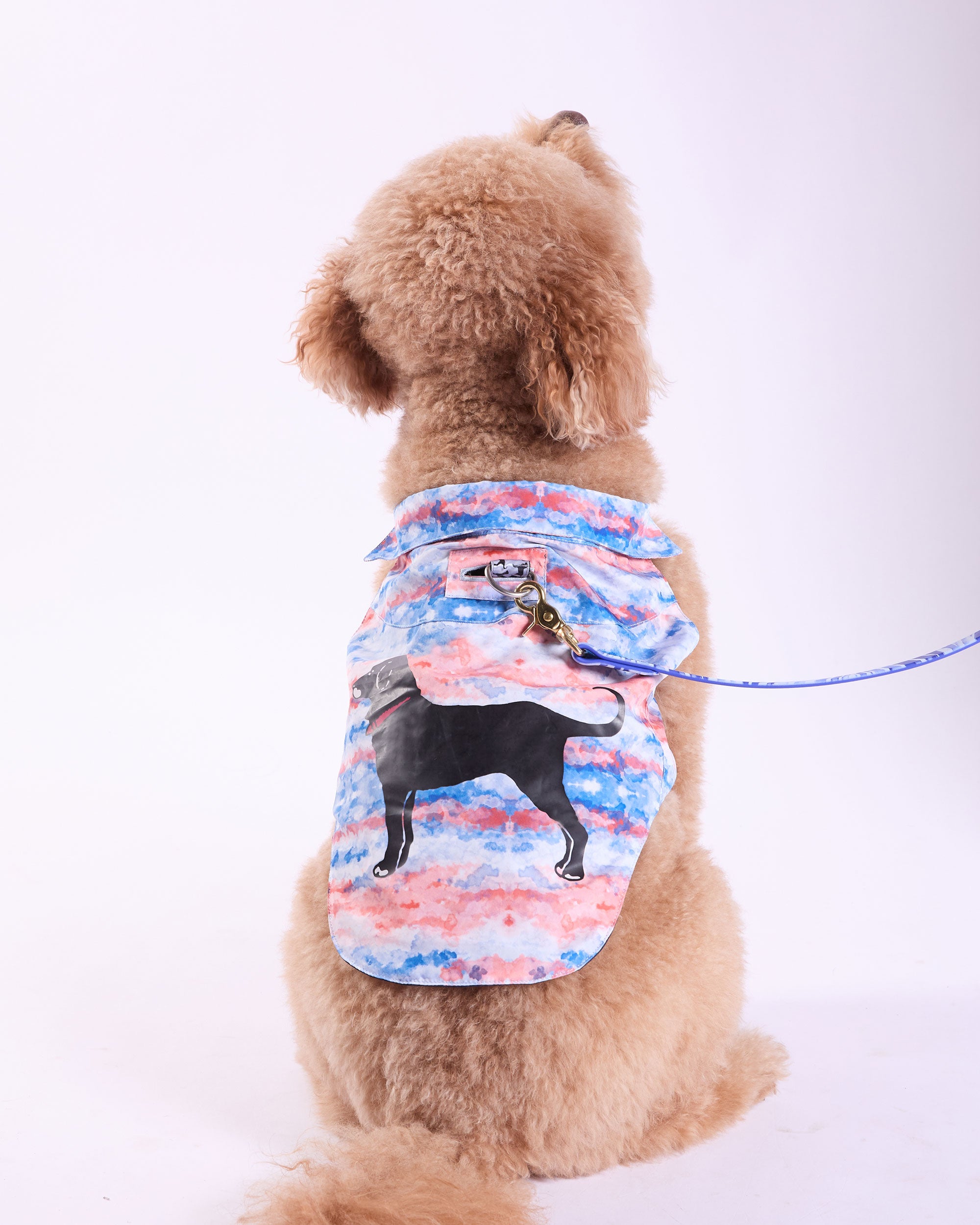 Dog Outfits The Black Dog Dog Outfits The Black Dog
